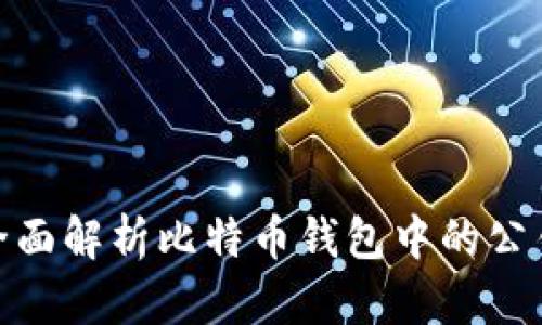 标题: 全面解析比特币钱包中的公钥与私钥