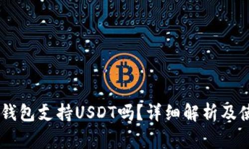 Ledger钱包支持USDT吗？详细解析及使用教程