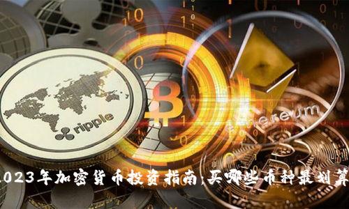 2023年加密货币投资指南：买哪些币种最划算？