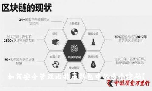 如何安全管理比特币钱包中的多个密码？