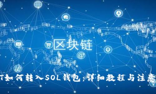 USDT如何转入SOL钱包：详细教程与注意事项