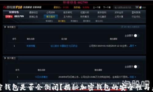 
加密钱包是否会倒闭？揭秘加密钱包的安全性与未来