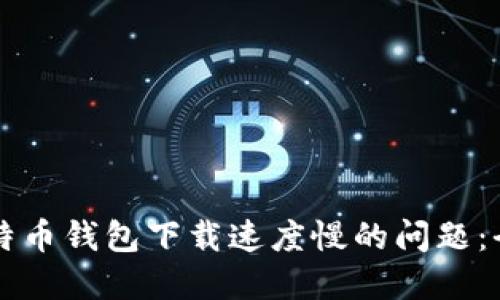 解决比特币钱包下载速度慢的问题：全面指南