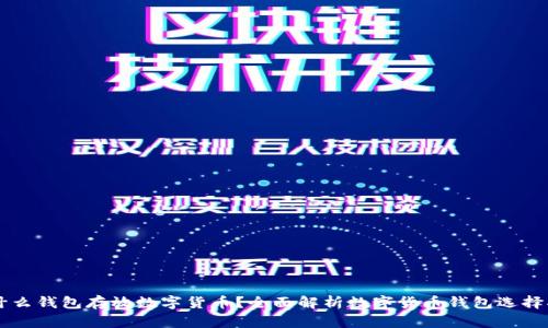 用什么钱包存放数字货币？全面解析数字货币钱包选择指南