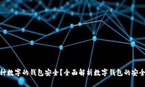 哪种数字的钱包安全？全面解析数字钱包的安全性