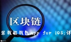 如何下载和安装钱能钱包app for iOS：详细教程和技