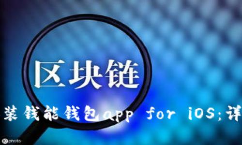 如何下载和安装钱能钱包app for iOS：详细教程和技巧