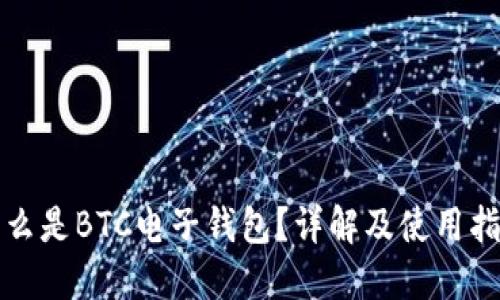 什么是BTC电子钱包？详解及使用指南